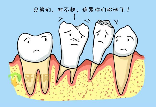 牙齿松动固定