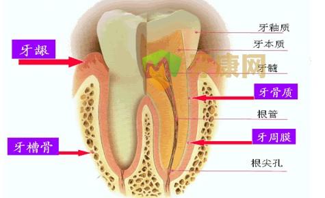 根管治疗后牙龈肿痛怎么办？