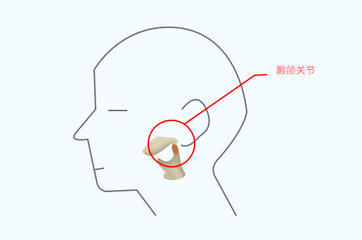 颞下颌关节